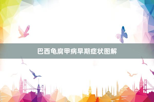 巴西龟腐甲病早期症状图解